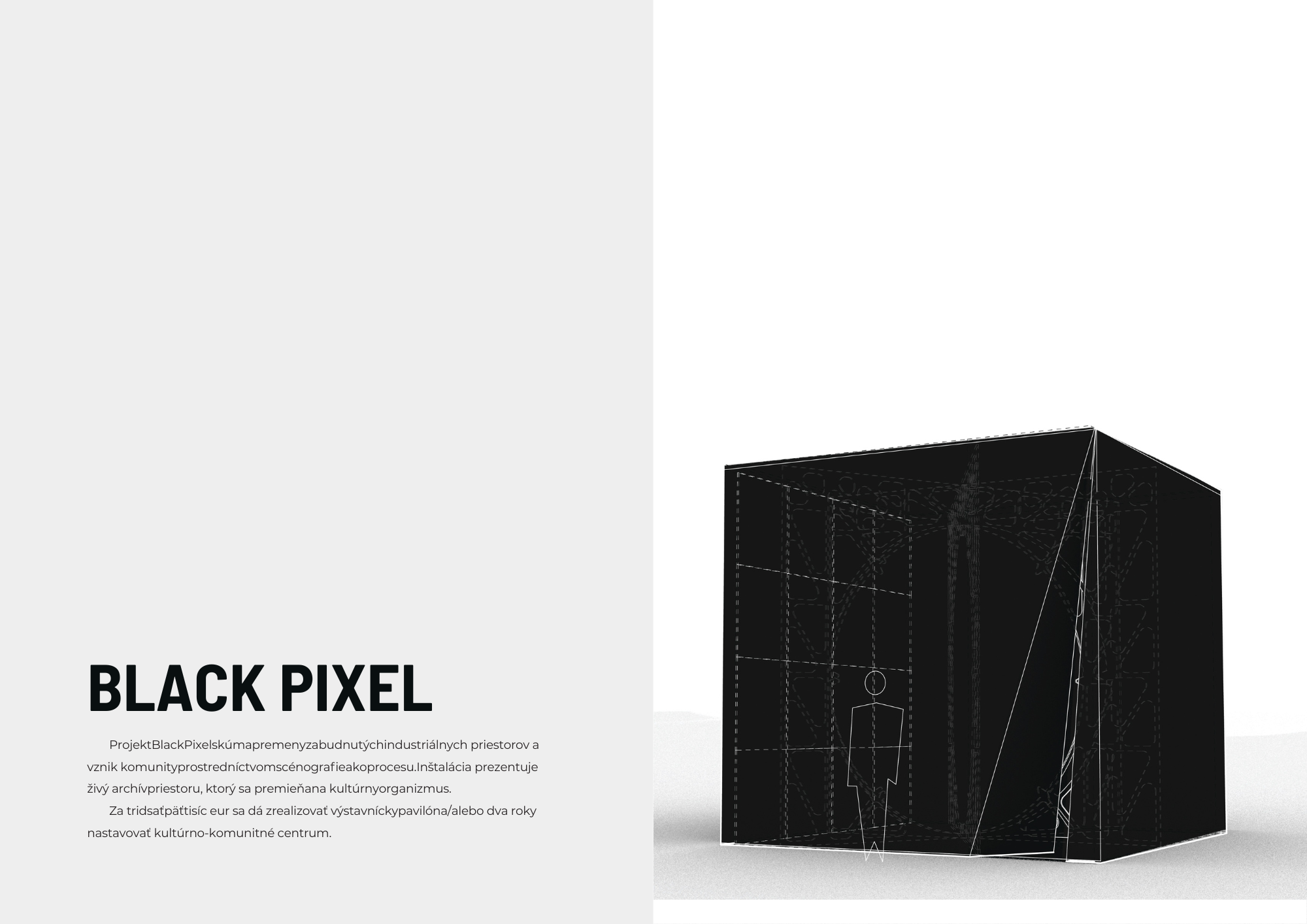 projekt blackpixel